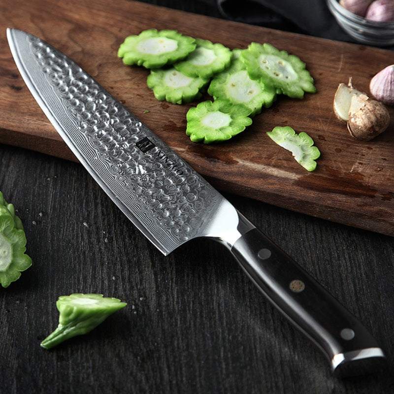 2PCS Professional Damascus Kitchen Knife Set Ebony Yu Series