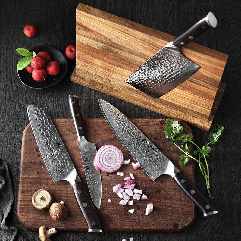 4PCS Professional Damascus Kitchen Knife Set Ebony Yu Series