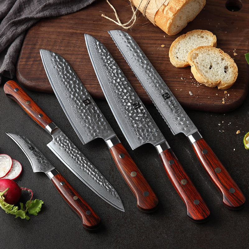 5PCS Professional Damascus Kitchen Knife Set Yun Series