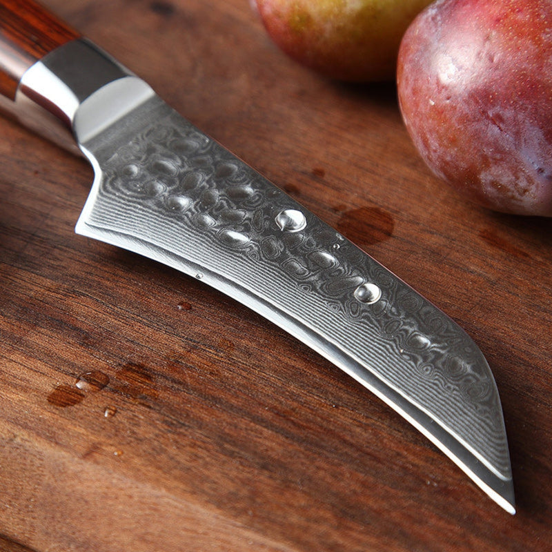 Professional Damascus Kitchen Fruit Knife Yun Series