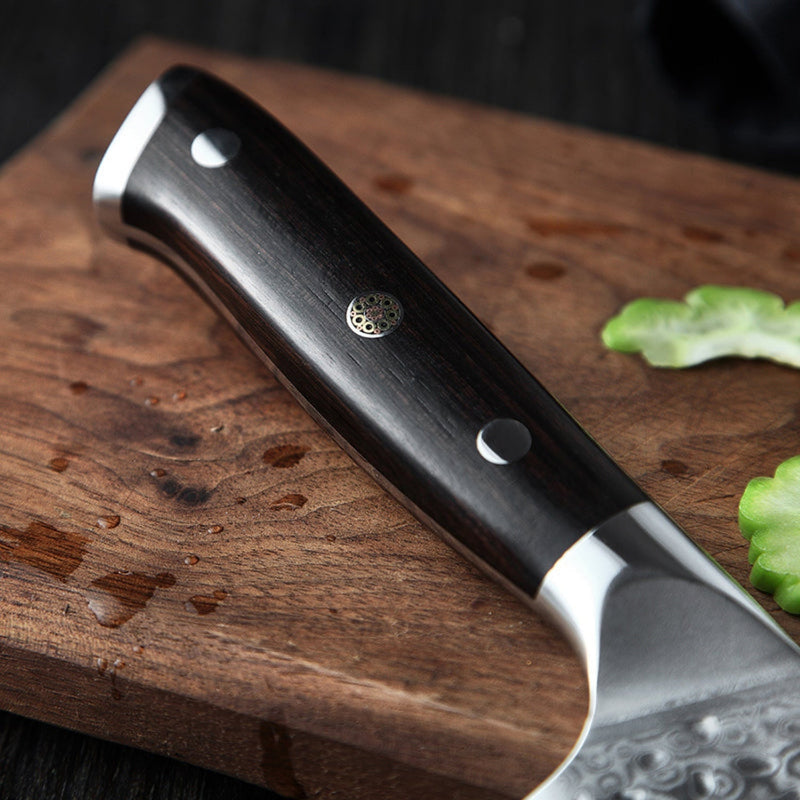 4PCS Professional Damascus Kitchen Knife Set Ebony Yu Series