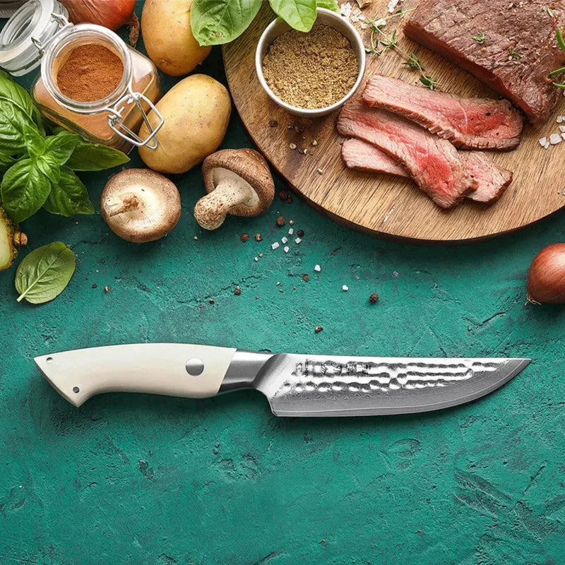 5 Inch Damascus Steak Knife - B38H Elegant Series