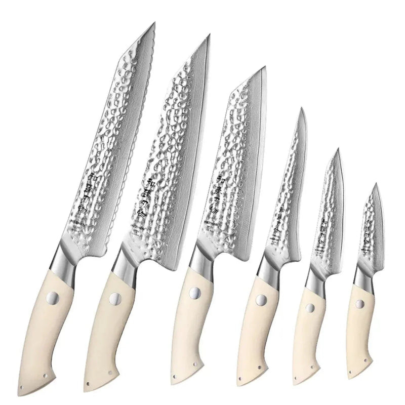 6Pcs Damascus Knife Set - B38H Elegant Series