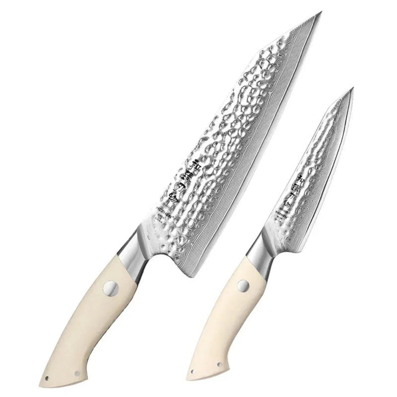 2 Pcs Damascus Knife Set - B38H Elegant Series