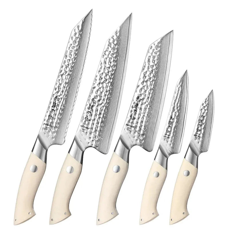5Pcs Damascus Knife Set - B38H Elegant Series