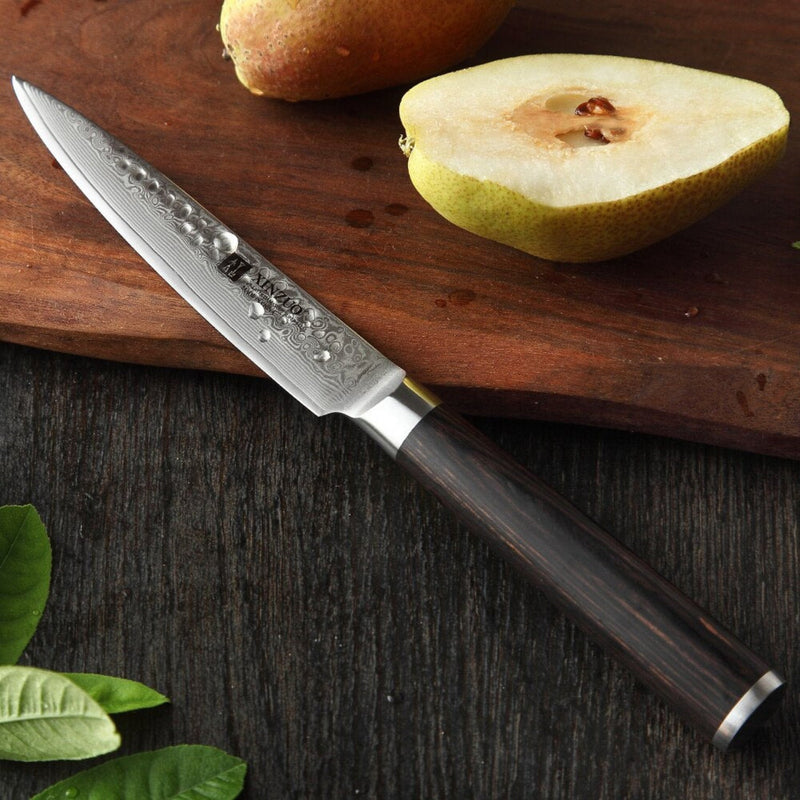 2PCS Professional Damascus Kitchen Knife Set Stria Hammer He Series