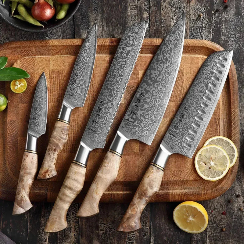 5Pcs Professional Damascus Knife Set - B30M Series