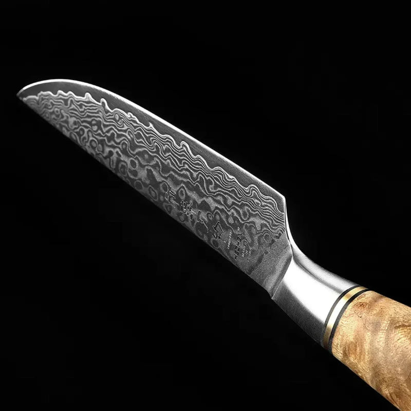 6-Piece Damascus Steak Knife - B30M Series