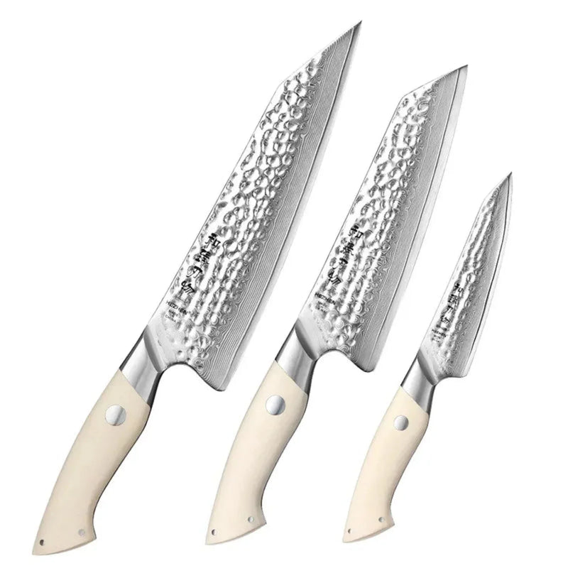 3Pcs Kitchen Knife Set - B38H Elegant Series