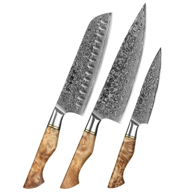 3Pcs Damascus Knife Set - B30M Series