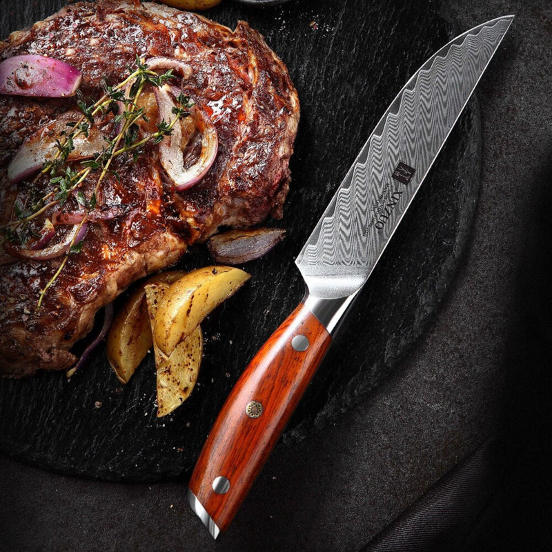 Professional Damascus Kitchen Steak Knife Yi Series