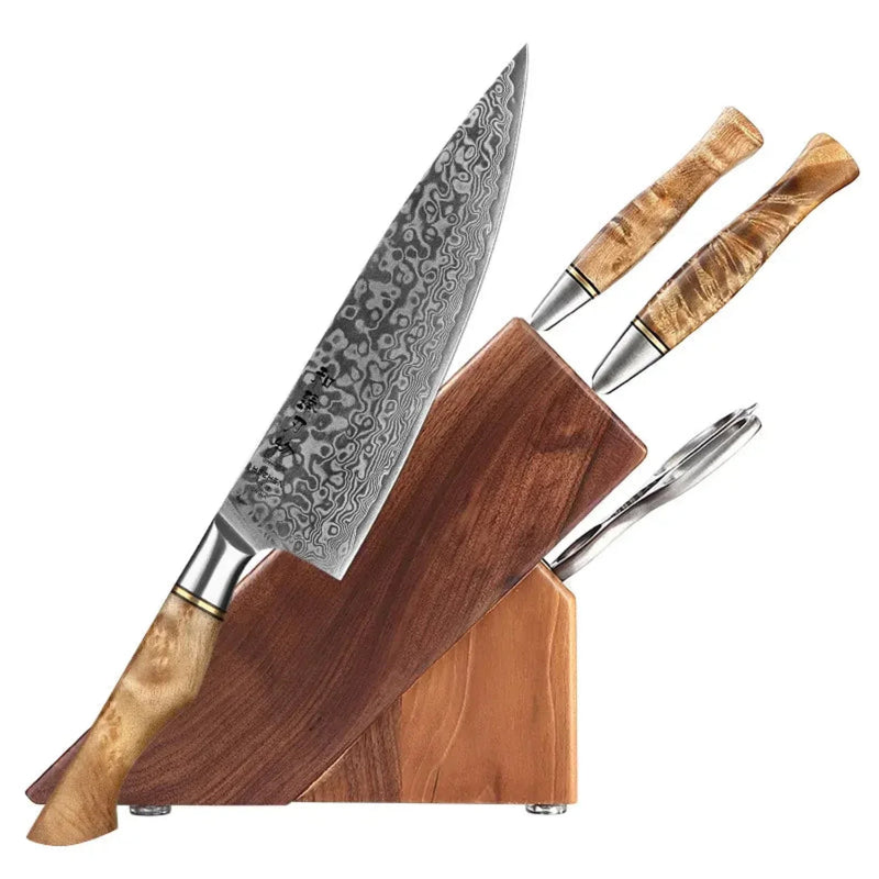 5Pcs Professional Damascus Knife Set - B30M Series