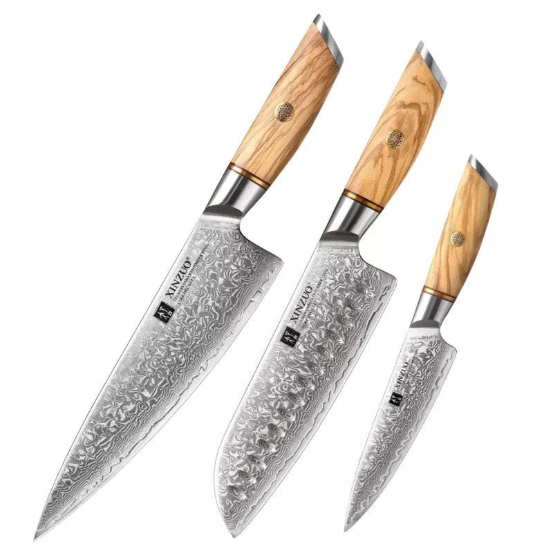 3PCS Professional Damascus Kitchen Knife Set Lan Series