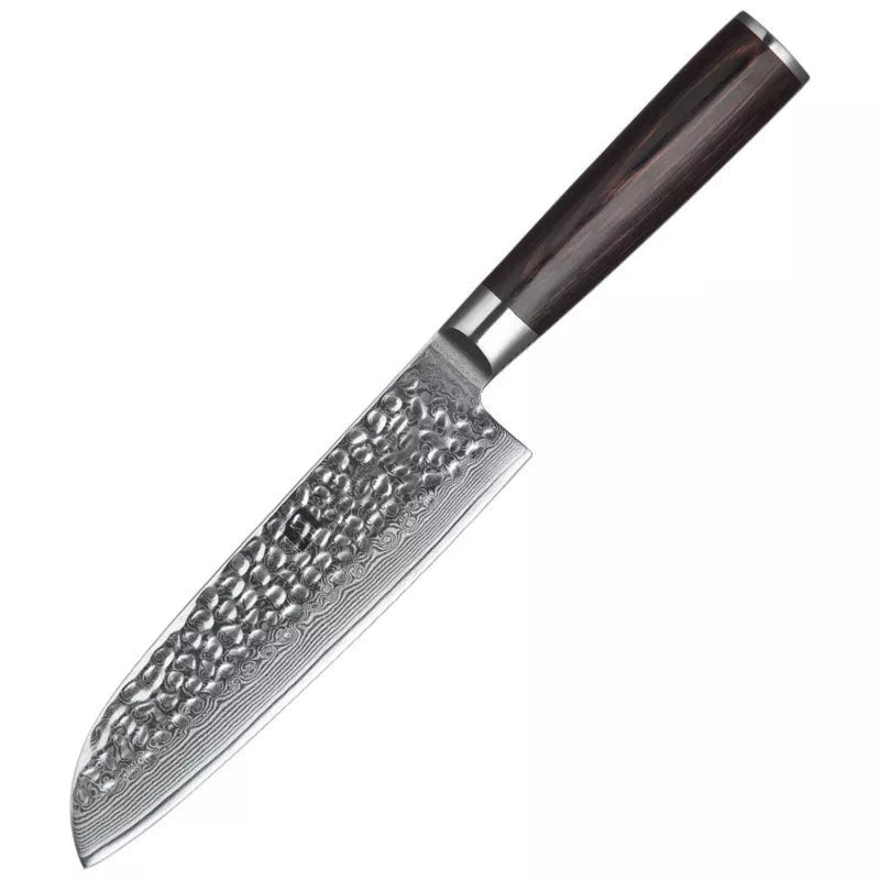Professional Damascus Kitchen Santoku Knife Stria Hammer He Series