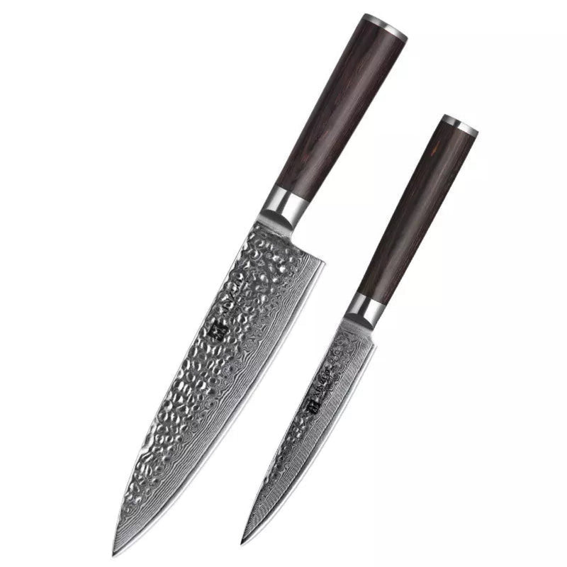 2PCS Professional Damascus Kitchen Knife Set Stria Hammer He Series