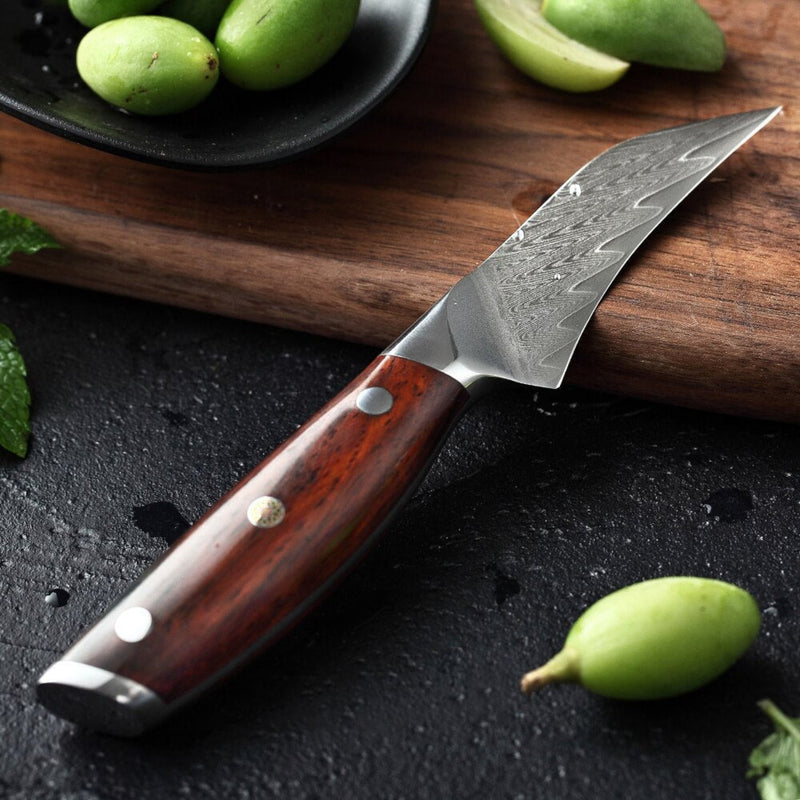 Professional Damascus Kitchen Fruit Knife Yi Series