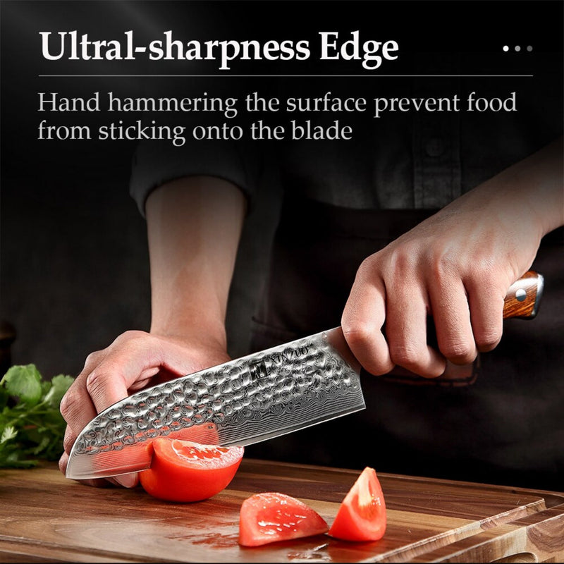 Professional Damascus Kitchen Santoku Knife Stria Hammer Yu Series