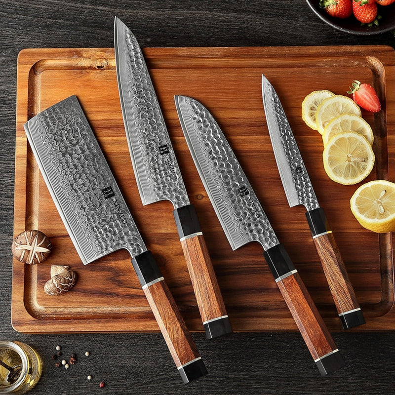 4PCS Professional Damascus Kitchen Knife Set Stria Hammer Zhen Series