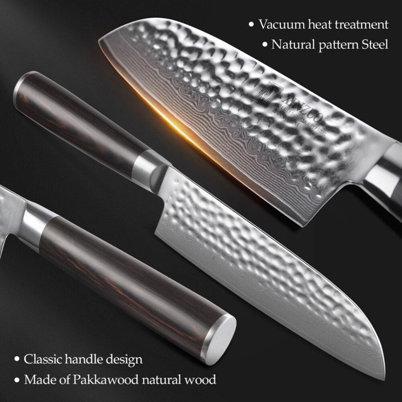 5PCS Professional Damascus Kitchen Knife Set Stria Hammer He Series