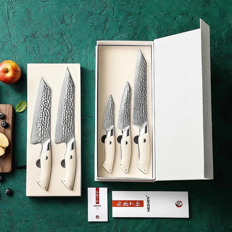5Pcs Damascus Knife Set - B38H Elegant Series