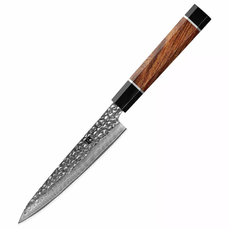 Professional Damascus Kitchen Utility Knife Stria Hammer Zhen Series