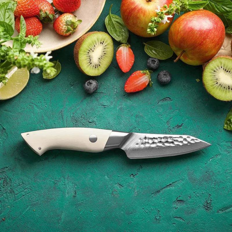 Kitchen Damascus Paring Knife B38H Elegant Series