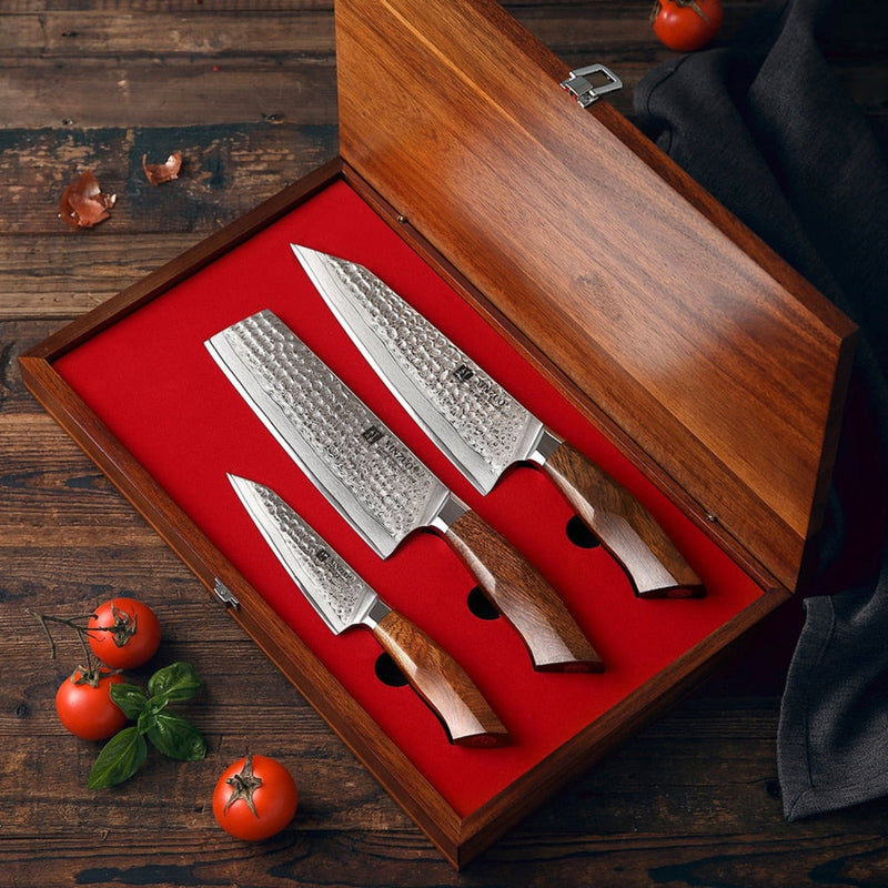 3PCS Professional Damascus Kitchen Knife Set Stria Hammer Feng Series