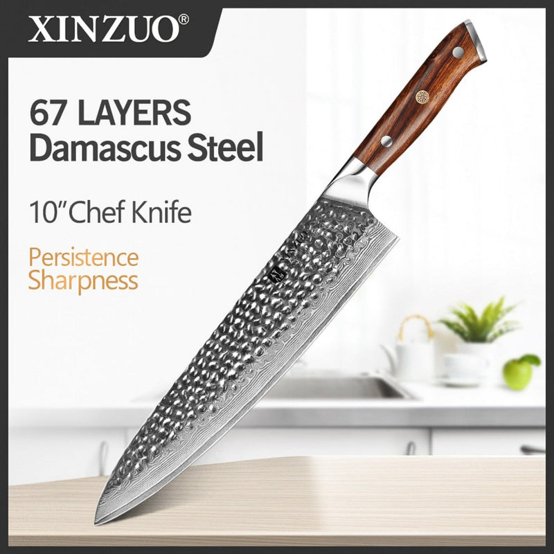 10 Inch Professional Damascus Kitchen Chef Knife Stria Hammer Yu Series 