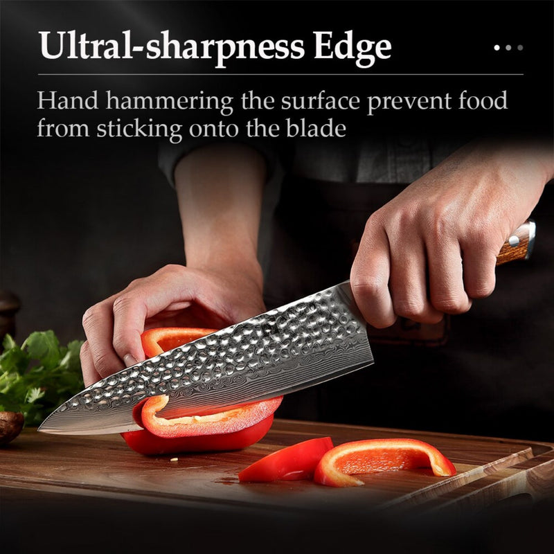 2PCS Professional Damascus Kitchen Knife Set Stria Hammer Yu Series