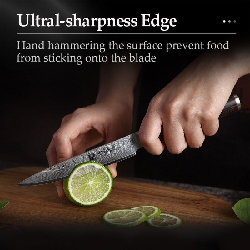 Professional Damascus Kitchen Utility Knife Stria Hammer He Series