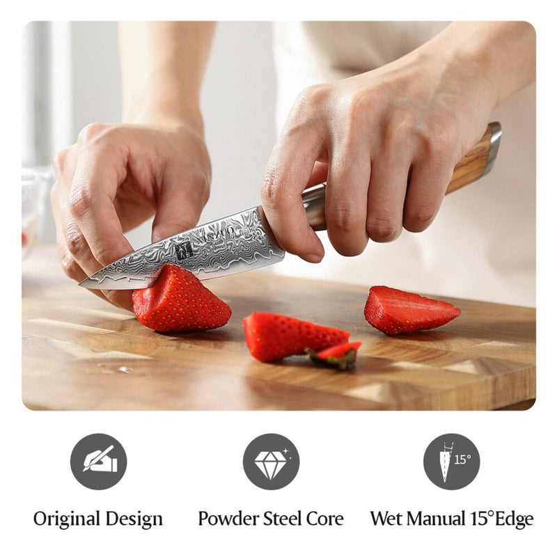 Professional Damascus Kitchen Paring Knife Lan Series