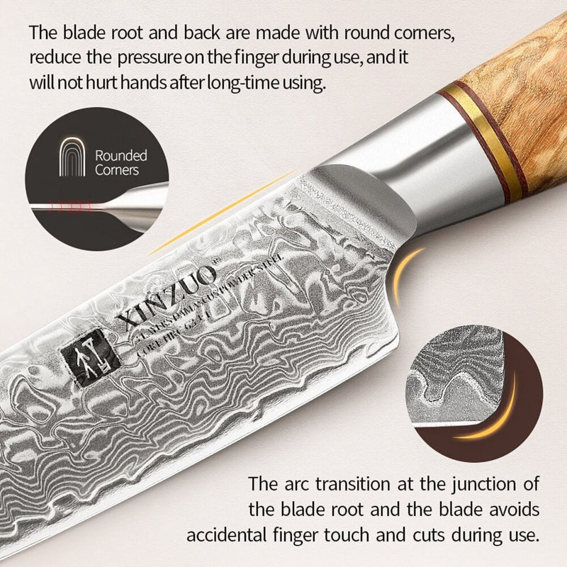 Professional Damascus Kitchen Steak Knife Lan Series
