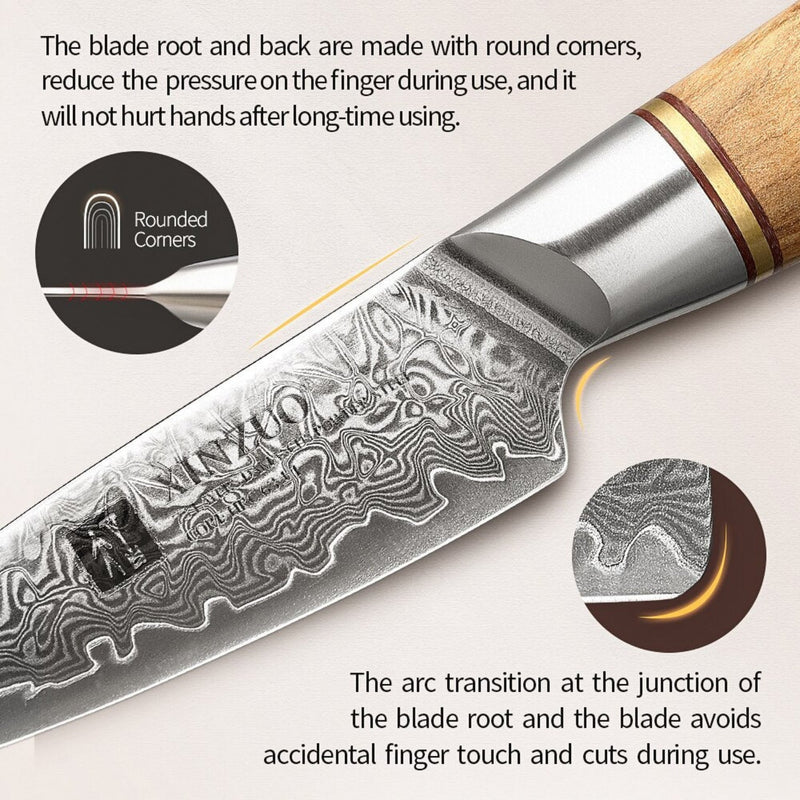5PCS Professional Damascus Kitchen Knife Set Lan Series