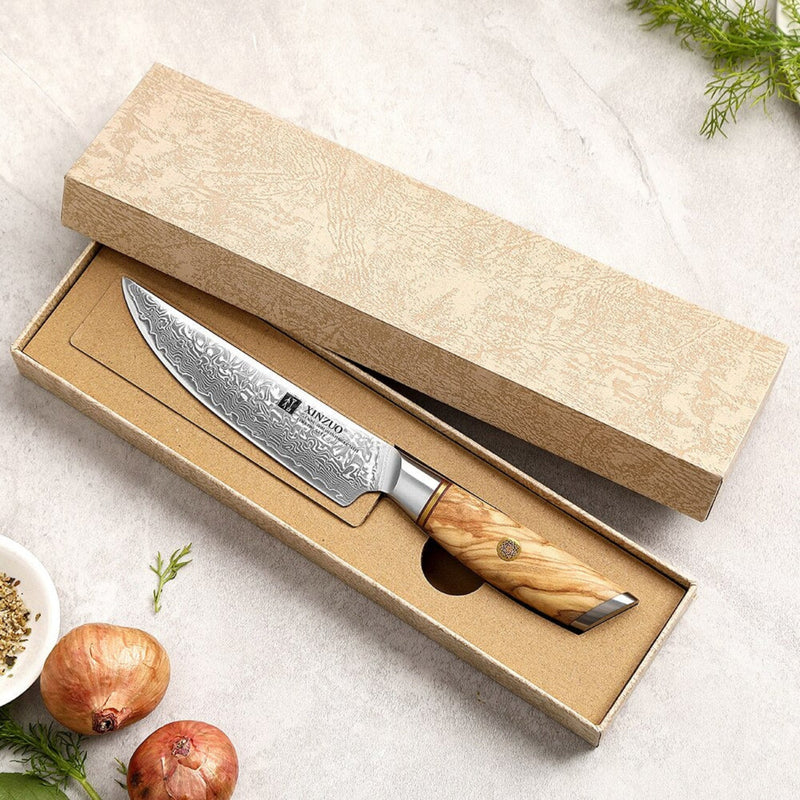 Professional Damascus Kitchen Steak Knife Lan Series
