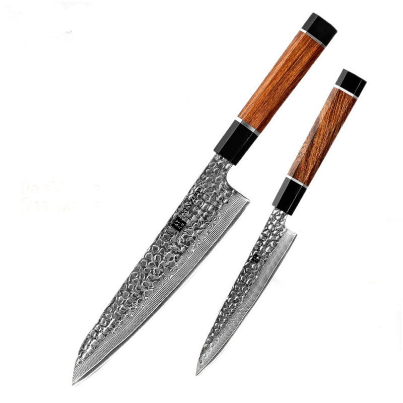 2PCS Professional Damascus Kitchen Knife Set Stria Hammer Zhen Series